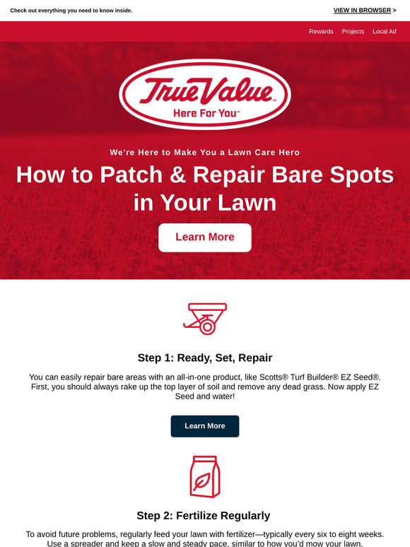 How to Patch & Repair Bare Spots in Your Lawn 🌱