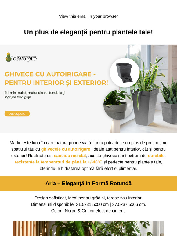 Ghivece cu autoirigare – fără griji pentru plante!