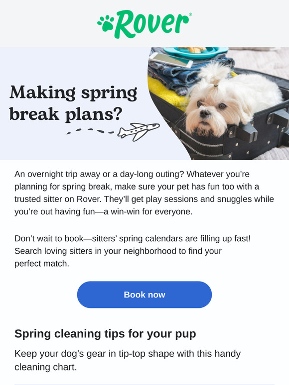 Give your pet some fun over spring break