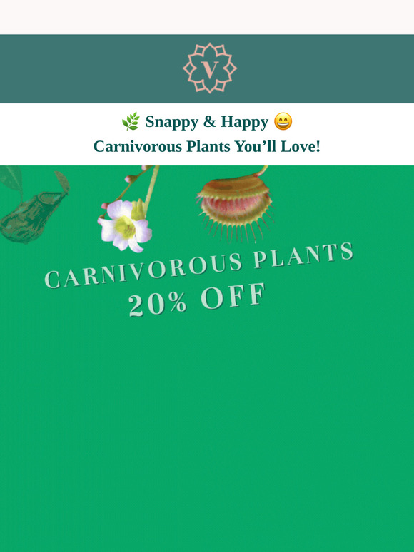 🦎🦟Get 20% OFF Carnivorous Plants – A Deal You Can’t Resist! 🪳🦗🐜🦠