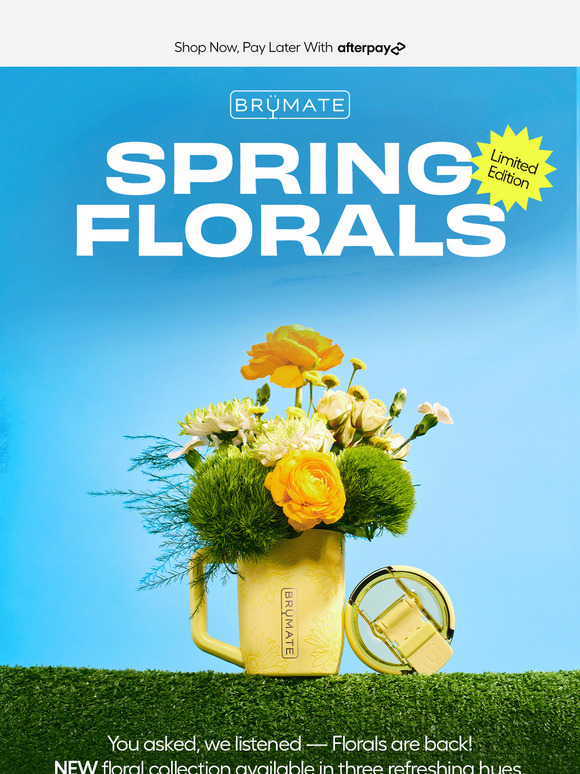 3 NEW Florals For Spring 🌸🌼🌵