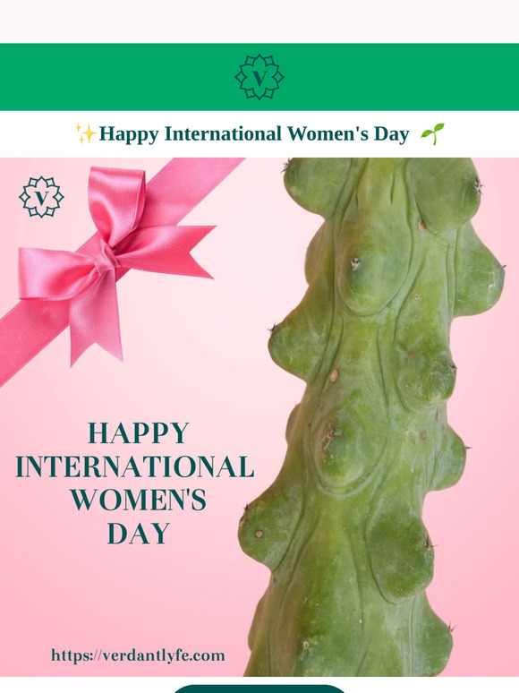 ✨🌸 Happy International Women's Day! 🌸✨