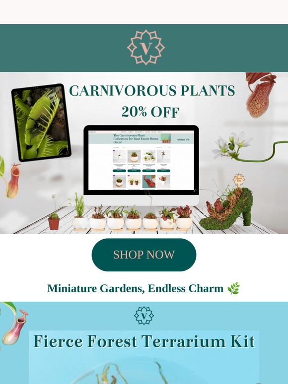 🌿✨ Unleash Your Inner Botanist – Enjoy 20% OFF Carnivorous Plants! 🦷🪴