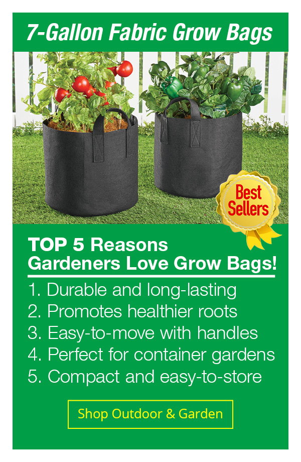 Shop Outdoor & Garden