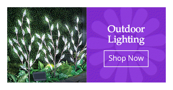 Outdoor Lighting- Shop Now