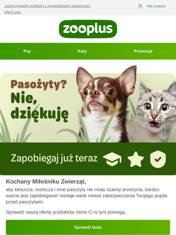 Zapobieganie jest najlepszą ochroną 🦟🕷️