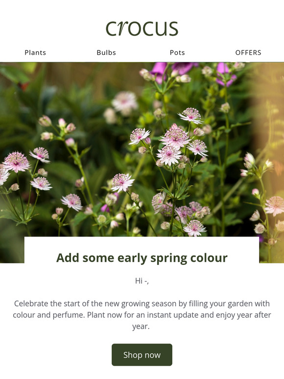 Savings on spring colour 🌺