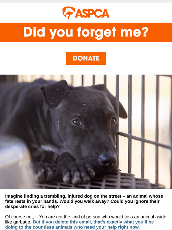 Are you ignoring them?