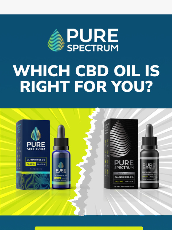 CBD Oils explained 🌿