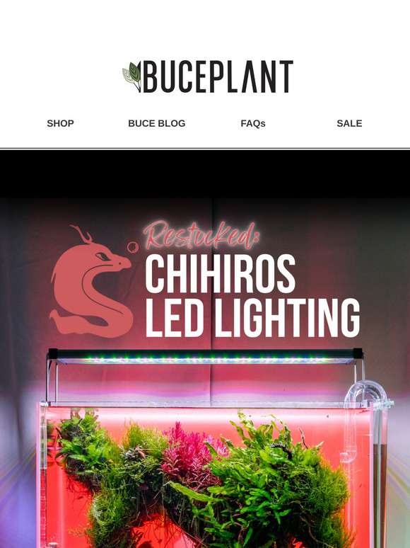 Guess What 😎 Chihiros LED Lighting + UNS Controsand Restocked!