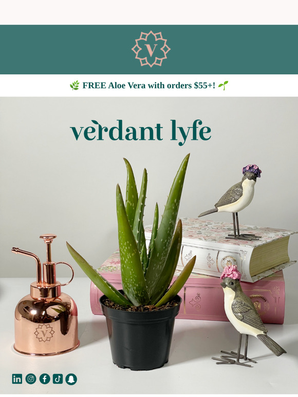 🌿 Lucky You – Meet Lady Luck & Our Freshest Green Arrivals!