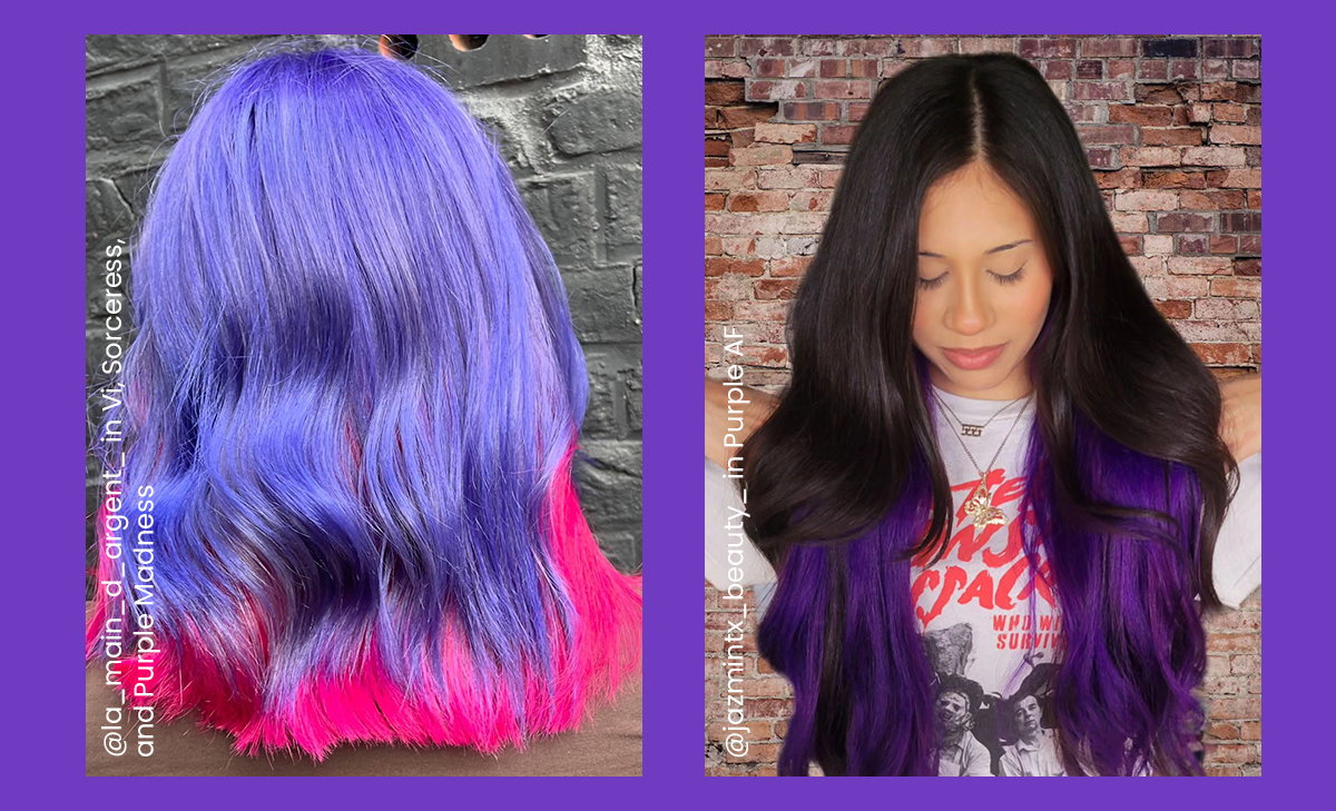 Fox Fam in Purples