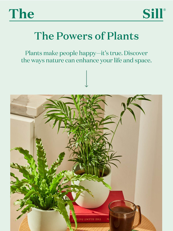 How plants make people happy 🌿