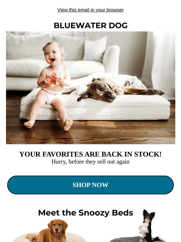 They're Backkkkk! Shop now before they're gone 💨