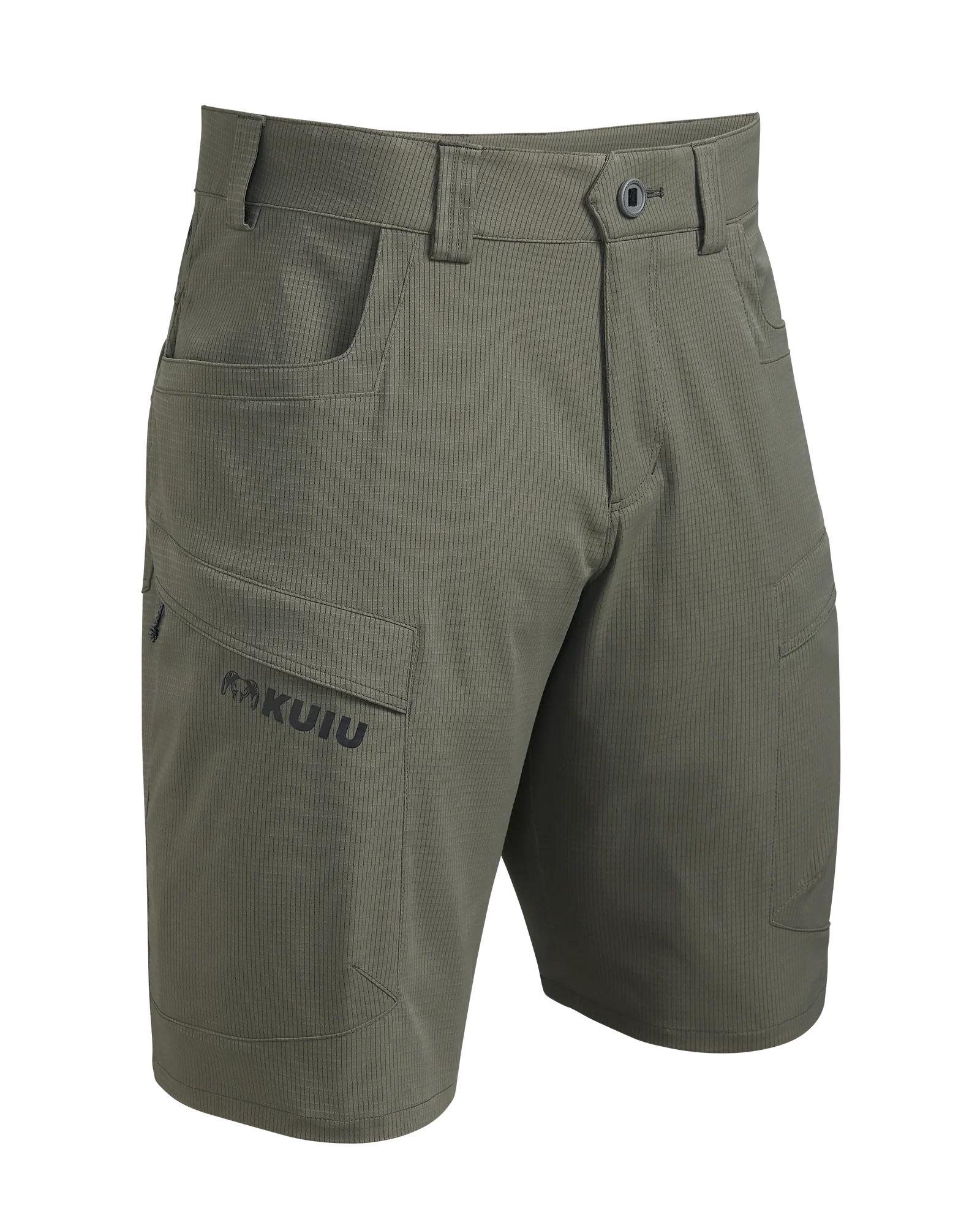 Image of Tiburon 10″ Short | Ash