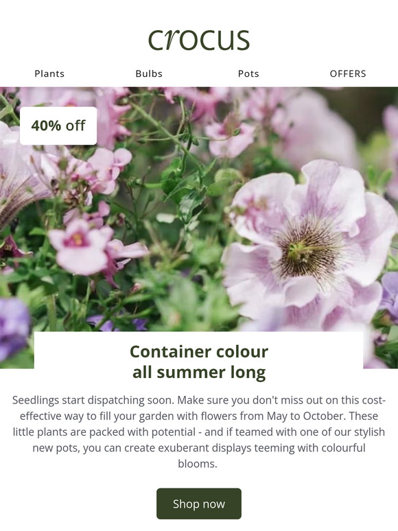 Fill your containers with colour | 40% off 🌸
