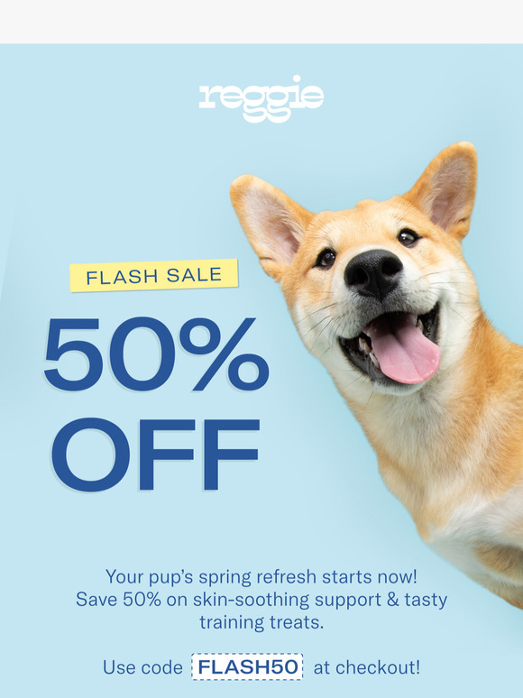 3 Days Only: 50% Off Doggy Must-Haves