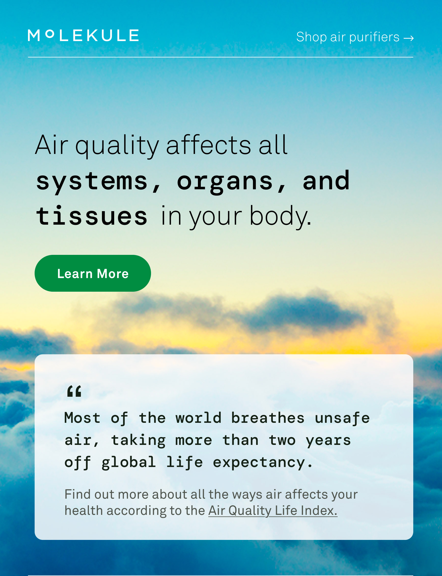 Air quality affects all systems, organs, and tissues in your body