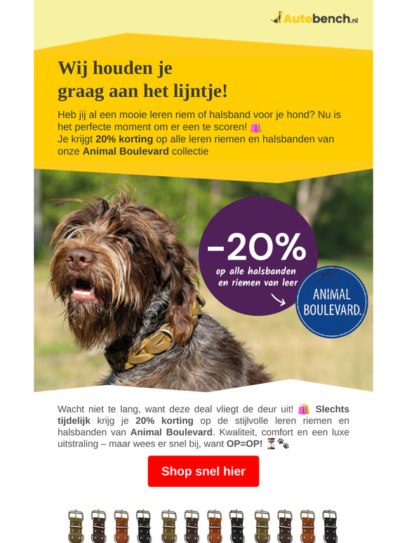 Wij houden je graag aan het lijntje 🐕️