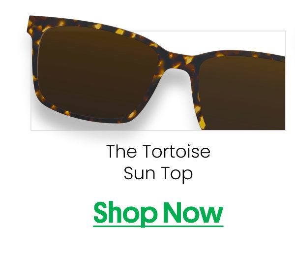 The Tortoise Sun Top | Shop Now