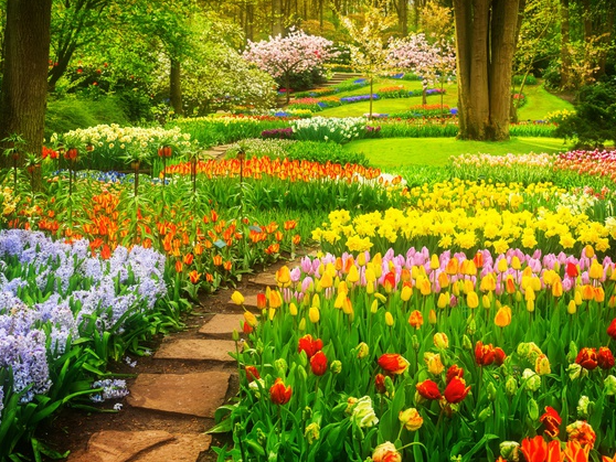 Colourful Tulips Flowerbeds And Stone Path In An Spring Formal Garden, Retro Toned Wall Mural