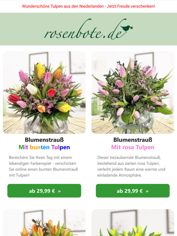 🌷 Frühlingserwachen! Frisch, farbig, knackig: Tulpen von rosenbote.de