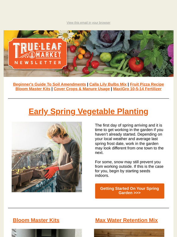 🌷 Your Spring Garden Guide: What to Plant & When to Start | TLM Newsletter