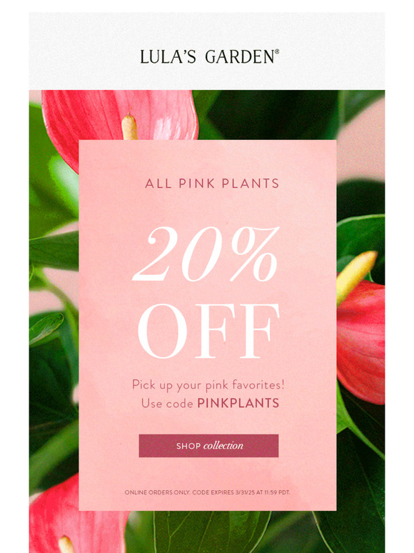 20% Off Pink Plants For A Limited Time! 💕