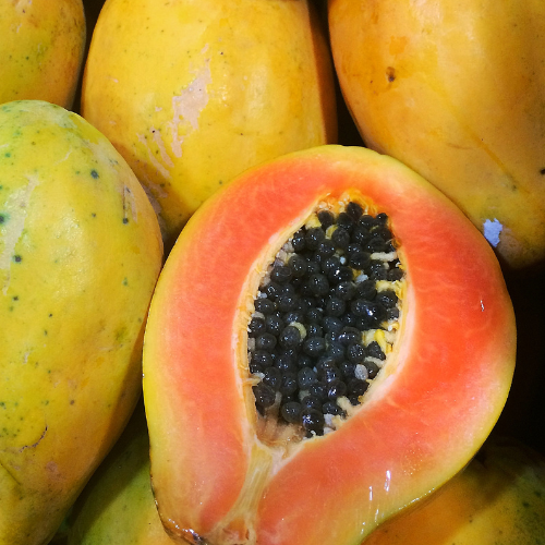 papaya