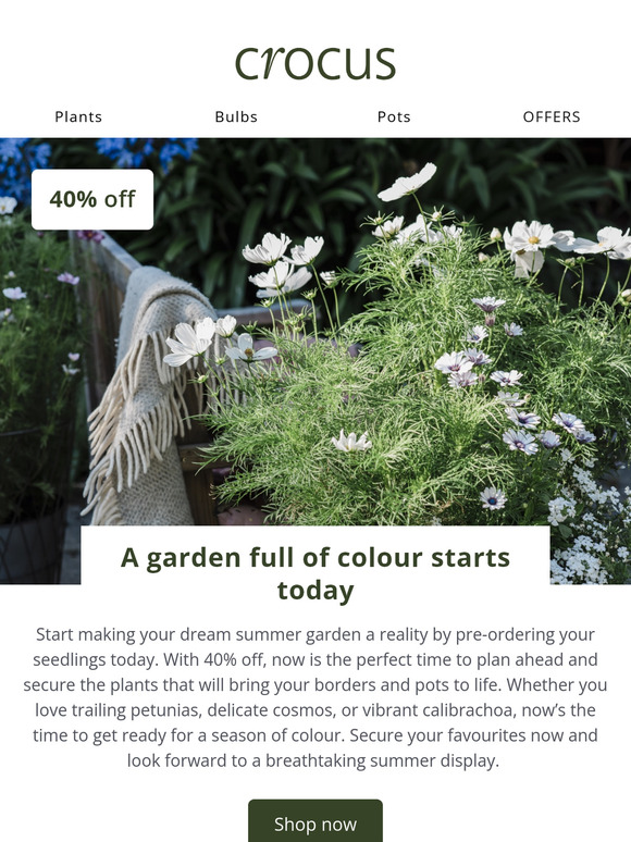Brighten your borders | 40% off 🌸