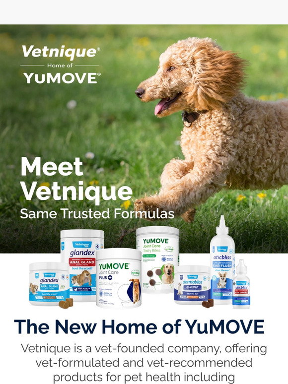 Your Pet's Favorites Have a New Home + 25% Off