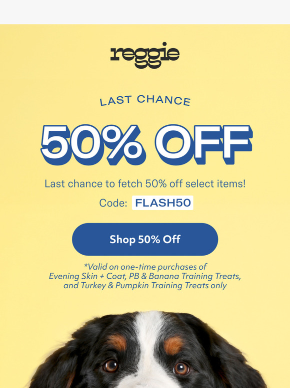 12 Hours Left: 50% Off Select Pup-Approved Items