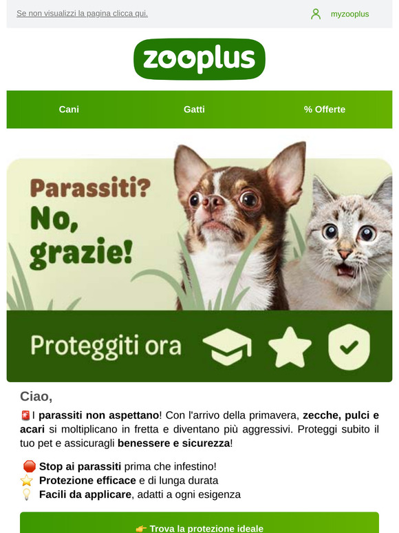 Parassiti? No, grazie! 🐾 Ecco la soluzione