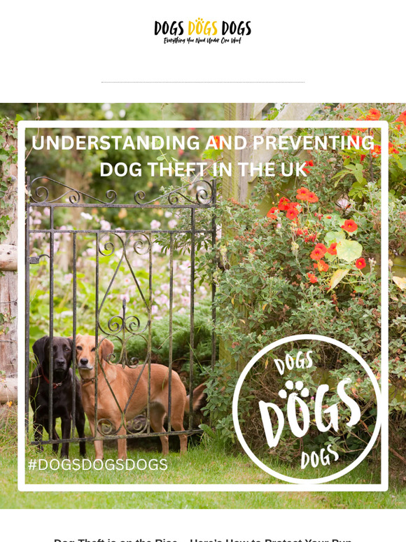 Dog Theft in the UK: What You Need to Know to Protect Your Pup