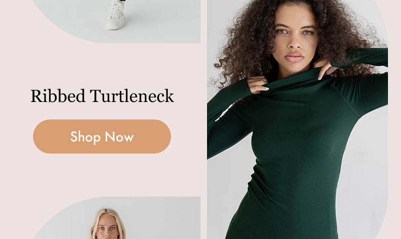 Ribbed Turtleneck  [Shop Now]
