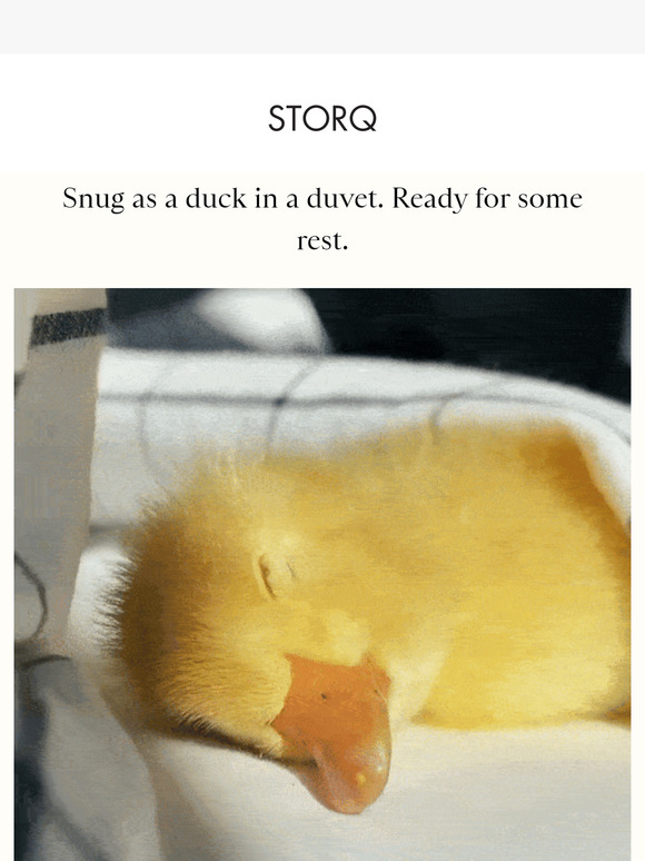 Weekend Edit: Snug As a Duck in a Duvet.