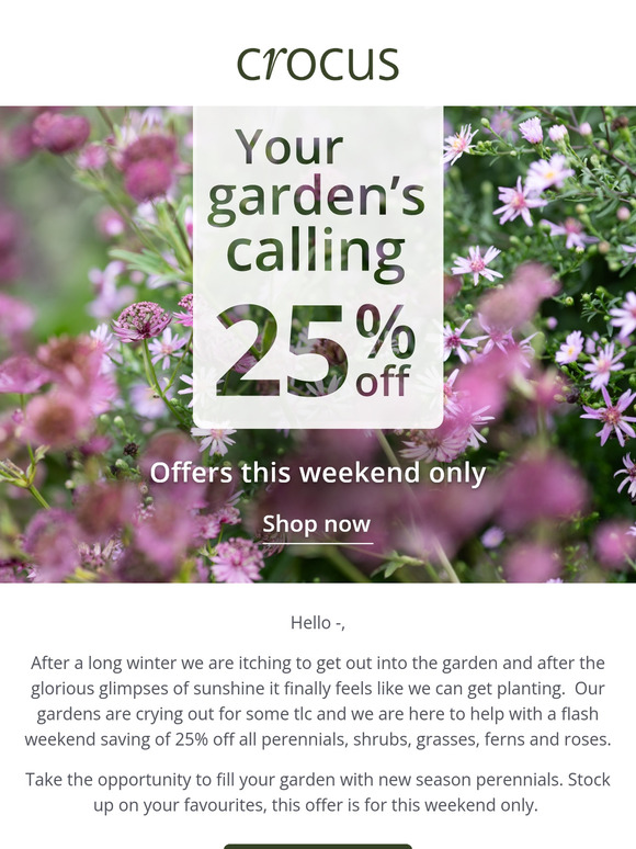 📣 Your garden's calling | 25% off plants