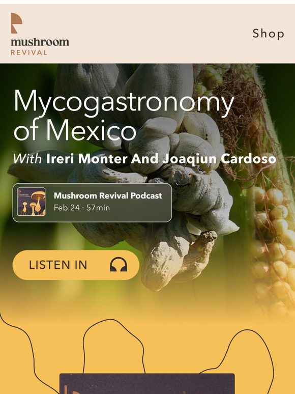 Mexico's Mushroom Delicacies