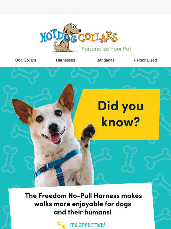 Did You Know? 2 Connection Points = Better Walks