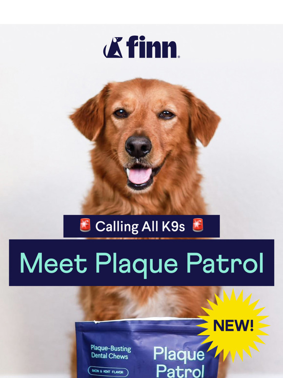 🚨 NEW: The Dental Chew That Actually Works!