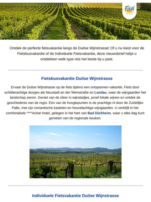 Fiets door de wijngaarden van de Duitse Wijnstrasse!