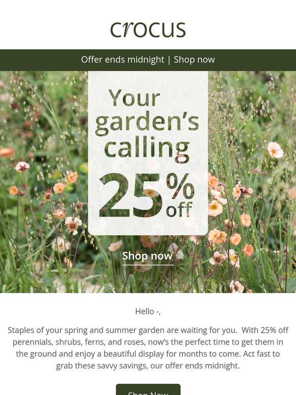 Hurry 25% off perennials, shrubs + more, ends tonight ⏰