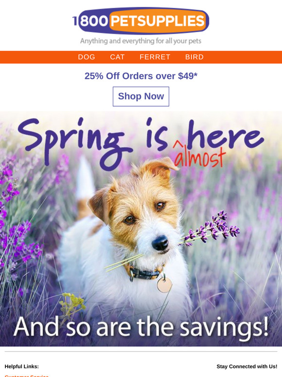 Just What You Need! 25% Off Your Order