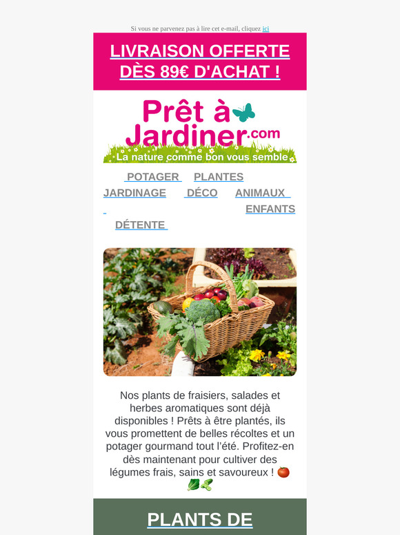 Plants de fraisiers, salades et aromates ! 🌱