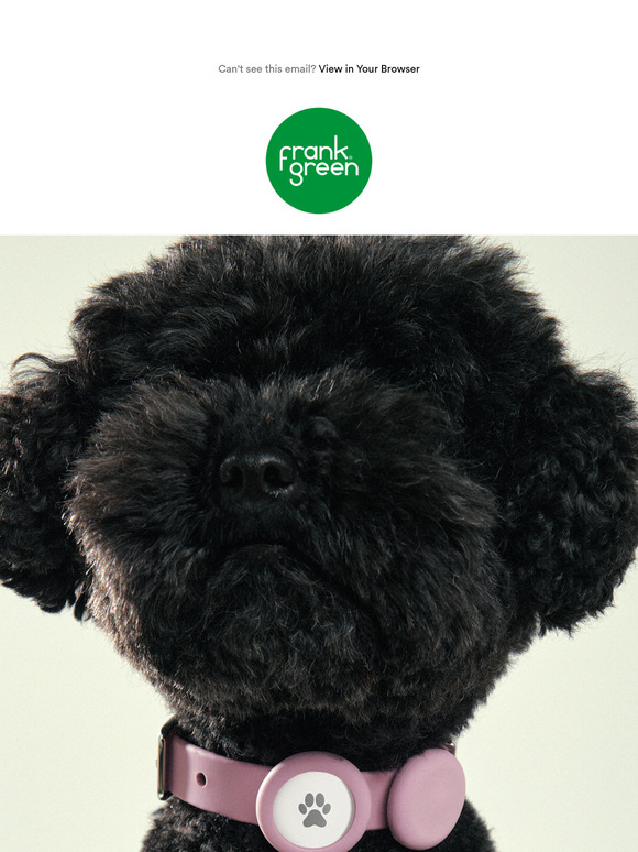 Fetch these products 🐾