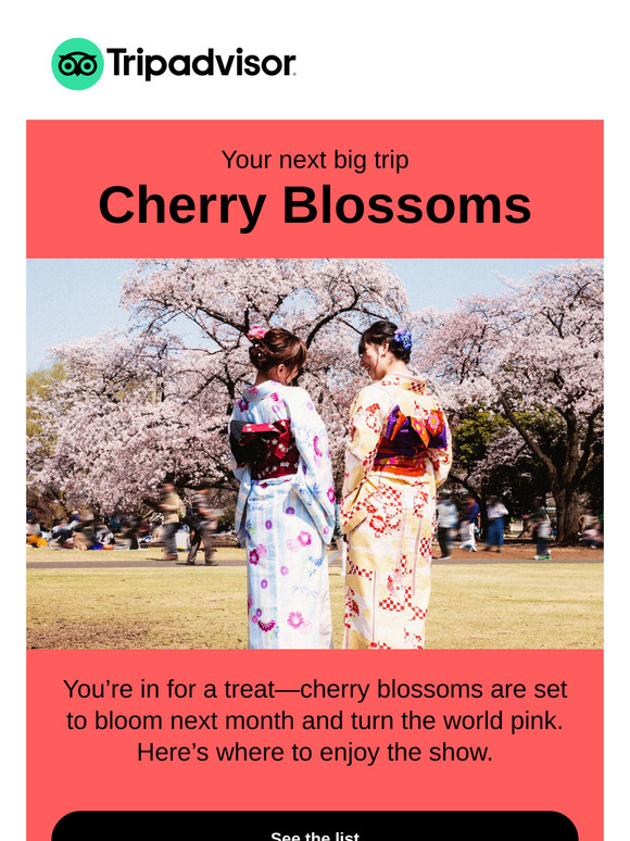 13 destinations to see cherry blossoms 🌸
