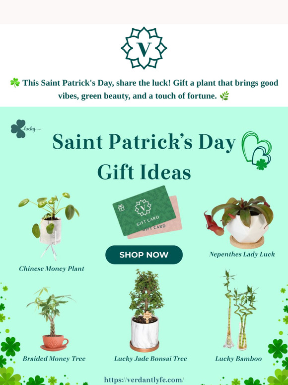 🌿✨ Bring Good Fortune Home with Plants that Spark Luck! 🍀