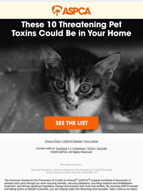 Most Common Pet Toxins [See the List]