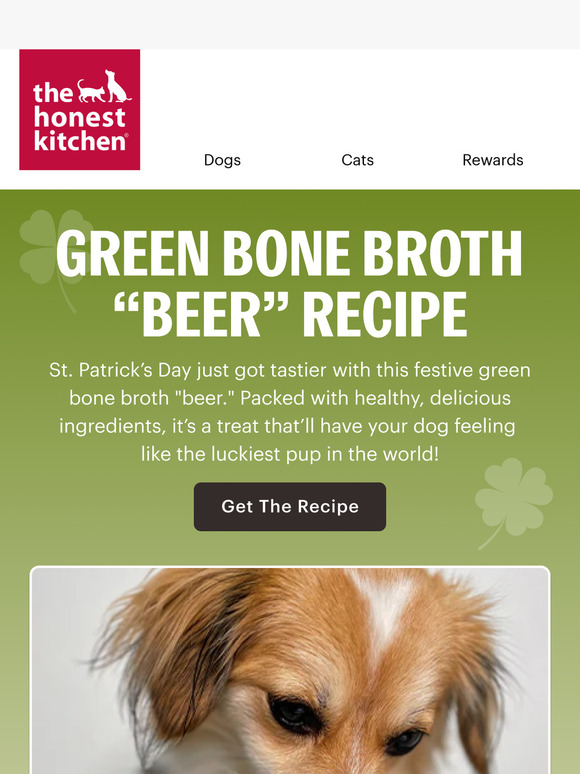 Lucky Pup Green "Beer" Recipe 🐶🍀