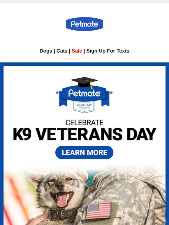Not All Heroes Have Two Legs – Celebrate K9 Veterans!
